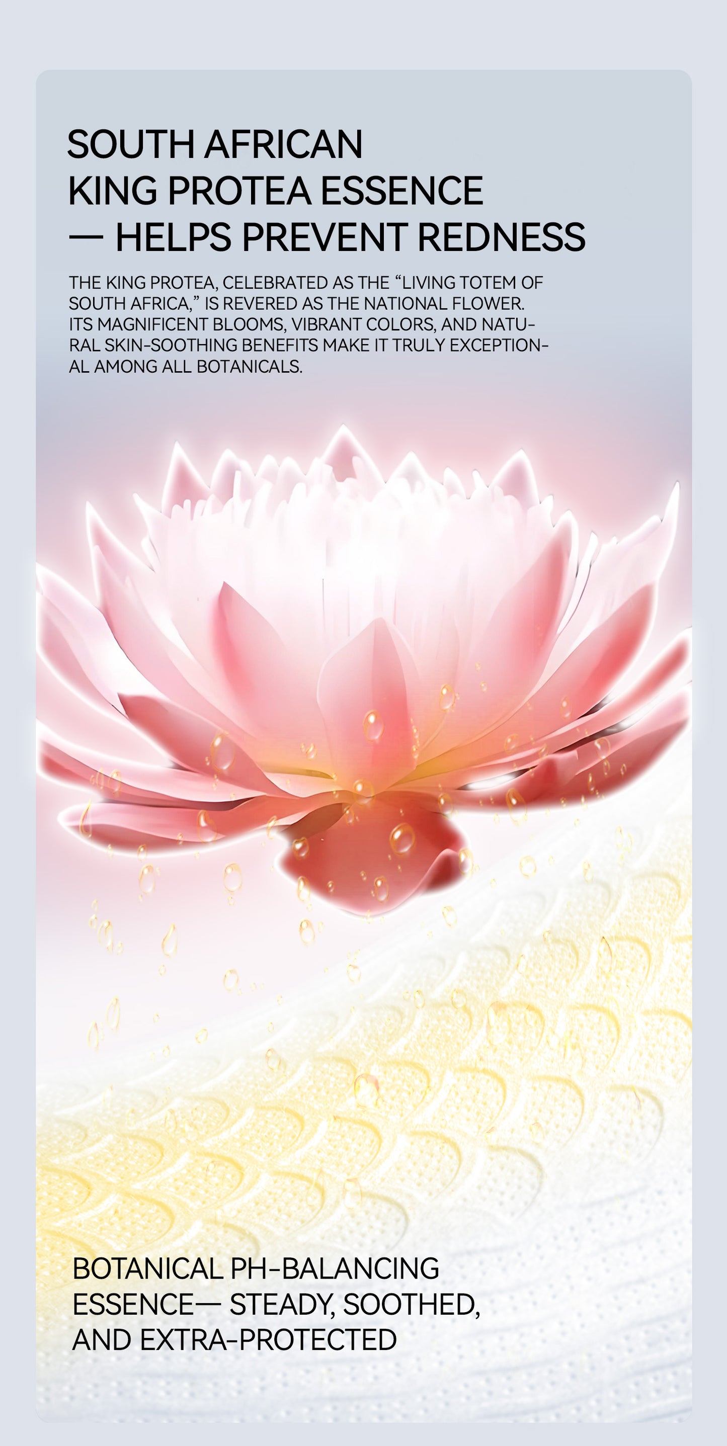 Yiying First Class ULTRA Premium Nappy Pants - Sample Pack (1 Pcs)