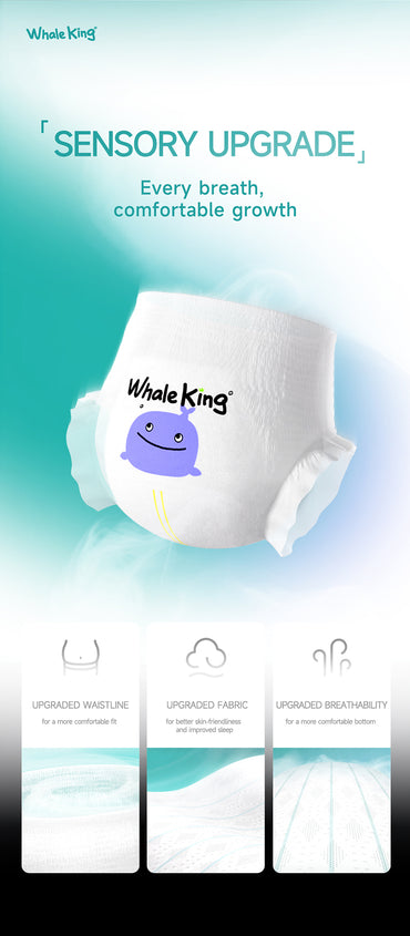 BBG Whale King Premium Serice Nappy Pants - Sample Pack 5 Pcs